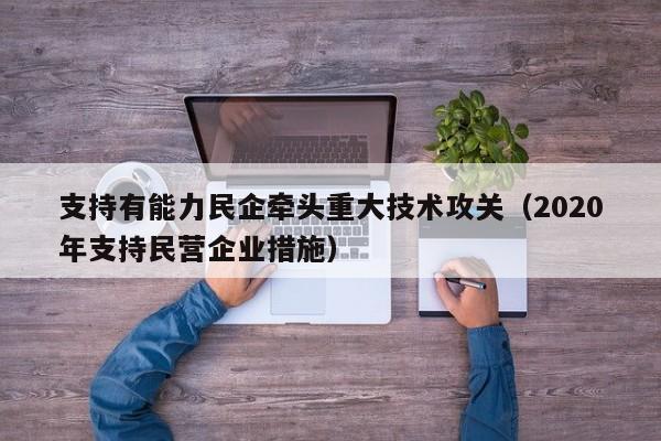 支持有能力民企牵头重大技术攻关（2020年支持民营企业措施）