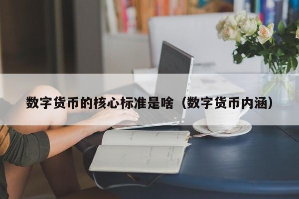 数字货币的核心标准是啥（数字货币内涵）