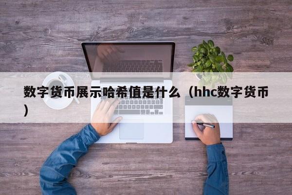 数字货币展示哈希值是什么（hhc数字货币）