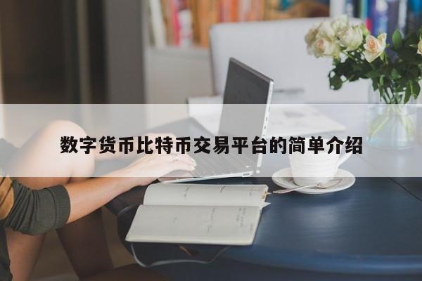 数字货币比特币交易平台的简单介绍