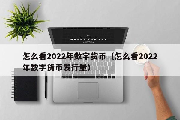 怎么看2022年数字货币（怎么看2022年数字货币发行量）