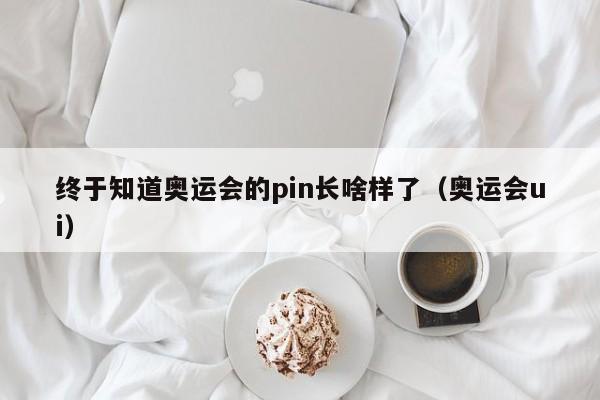 终于知道奥运会的pin长啥样了（奥运会ui）