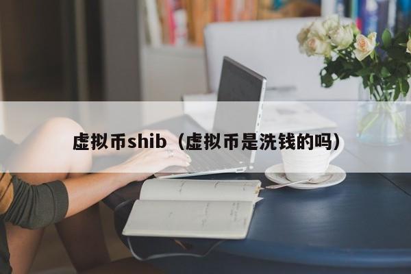 虚拟币shib（虚拟币是洗钱的吗）